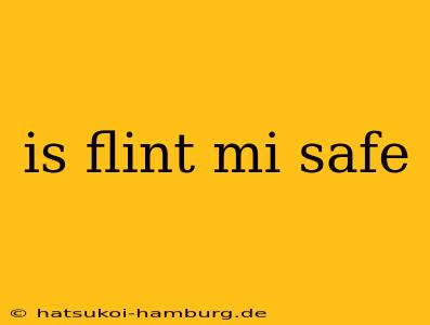 is flint mi safe