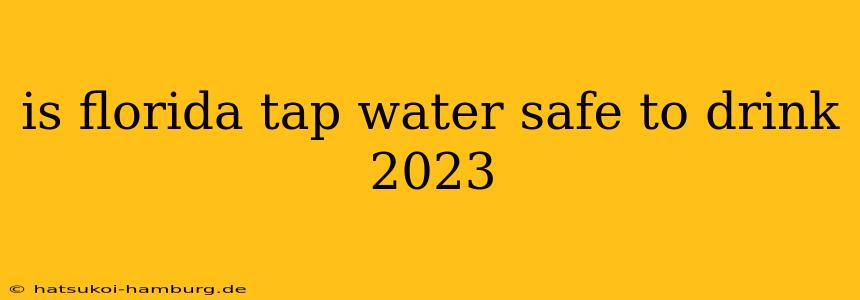 is florida tap water safe to drink 2023