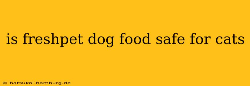 is freshpet dog food safe for cats