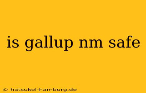 is gallup nm safe