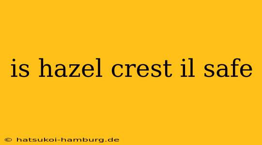 is hazel crest il safe