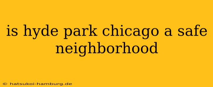 is hyde park chicago a safe neighborhood