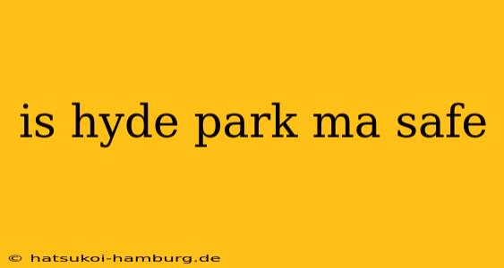 is hyde park ma safe