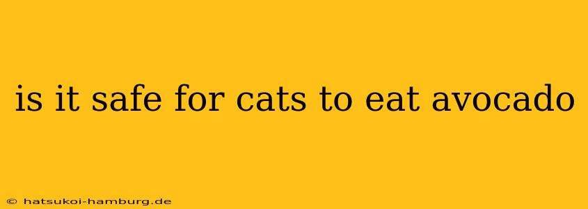 is it safe for cats to eat avocado