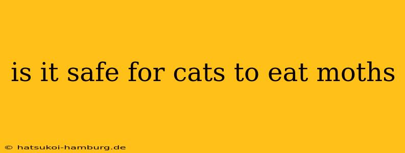 is it safe for cats to eat moths