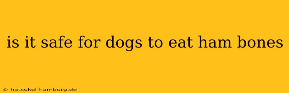 is it safe for dogs to eat ham bones