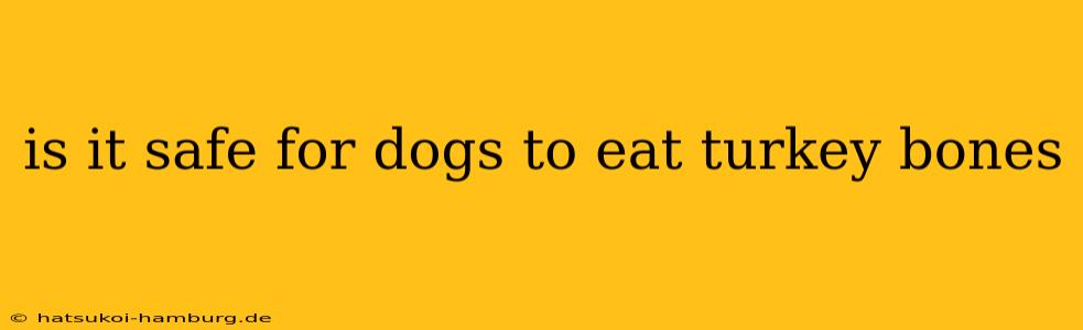 is it safe for dogs to eat turkey bones