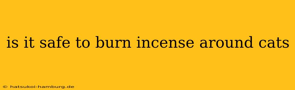 is it safe to burn incense around cats