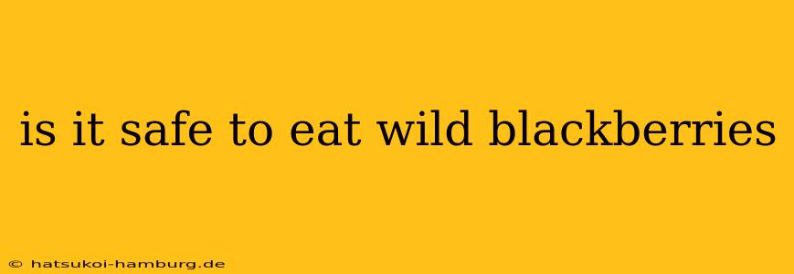 is it safe to eat wild blackberries