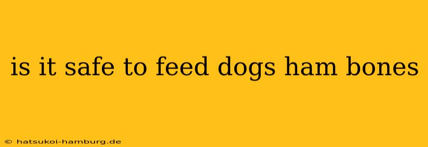is it safe to feed dogs ham bones