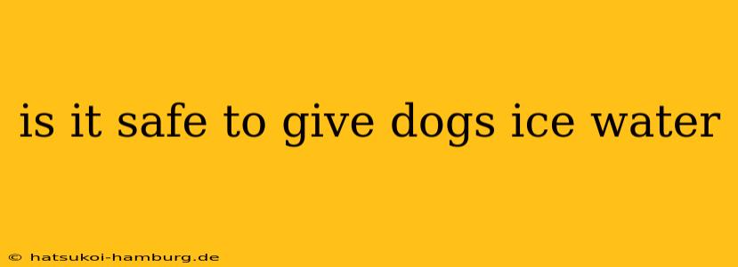 is it safe to give dogs ice water