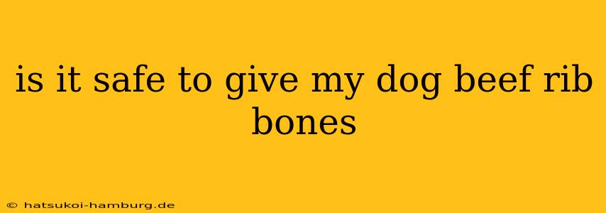 is it safe to give my dog beef rib bones