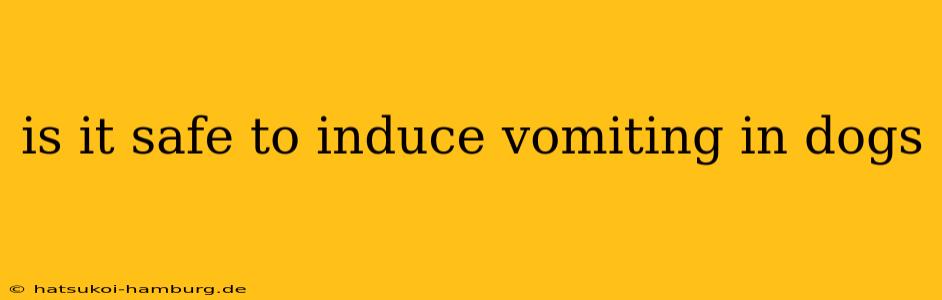 is it safe to induce vomiting in dogs