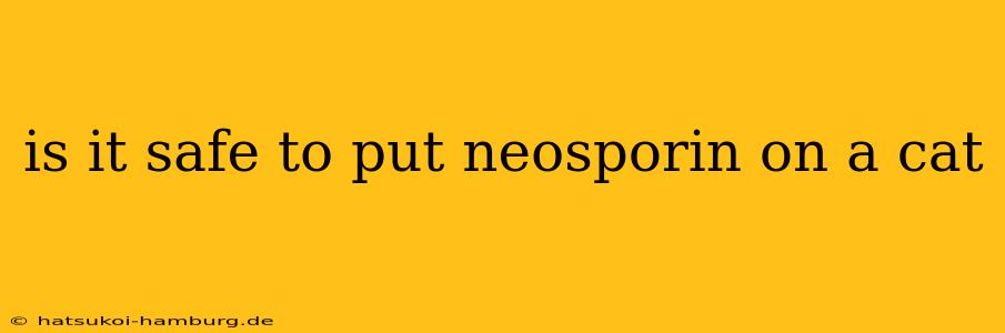 is it safe to put neosporin on a cat