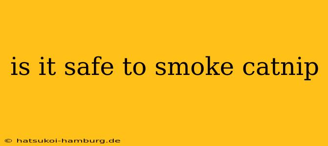 is it safe to smoke catnip