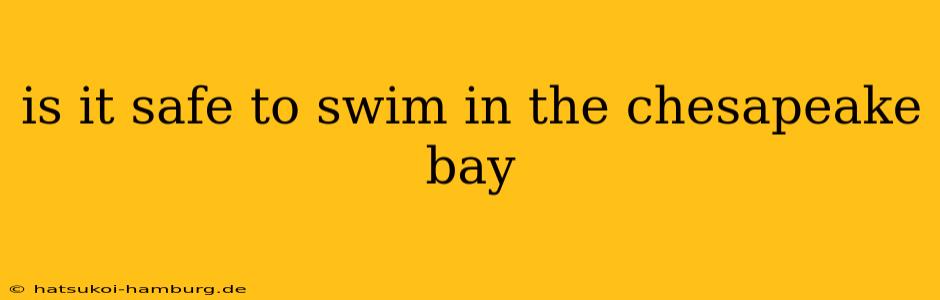 is it safe to swim in the chesapeake bay