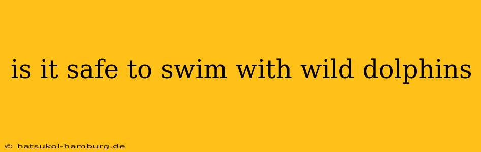 is it safe to swim with wild dolphins