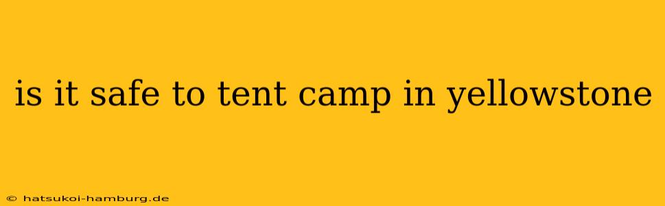 is it safe to tent camp in yellowstone