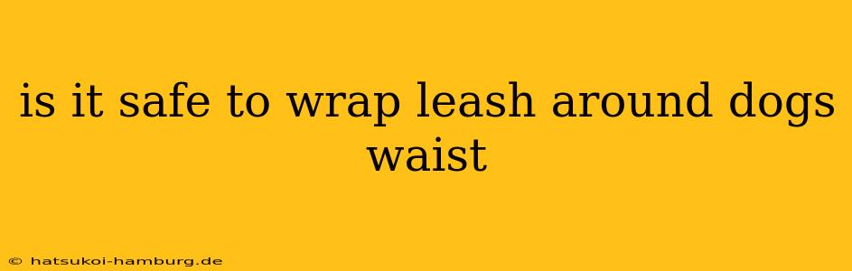 is it safe to wrap leash around dogs waist