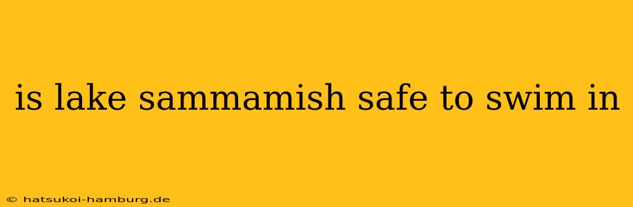 is lake sammamish safe to swim in