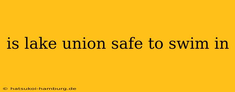 is lake union safe to swim in
