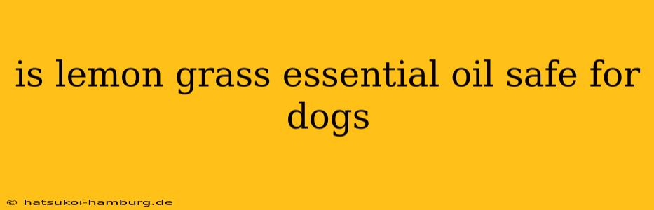 is lemon grass essential oil safe for dogs