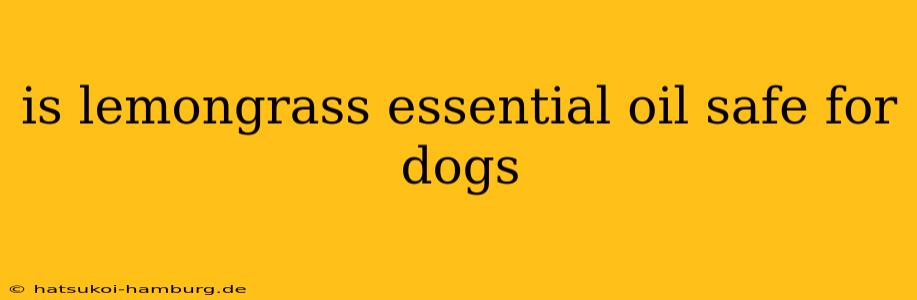 is lemongrass essential oil safe for dogs
