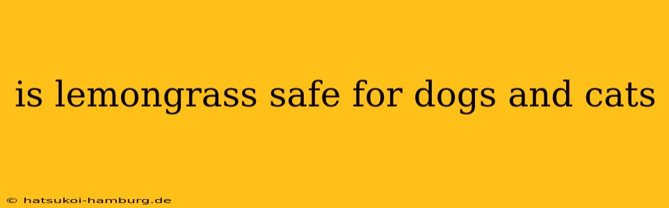 is lemongrass safe for dogs and cats
