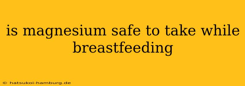 is magnesium safe to take while breastfeeding