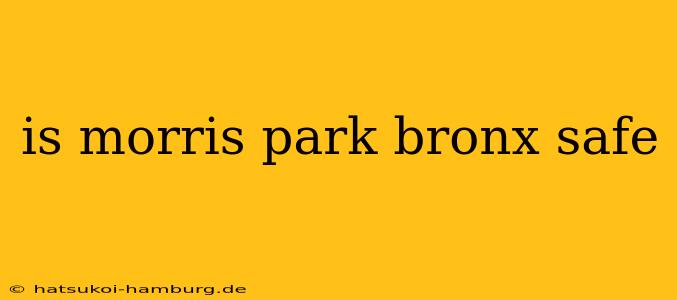 is morris park bronx safe