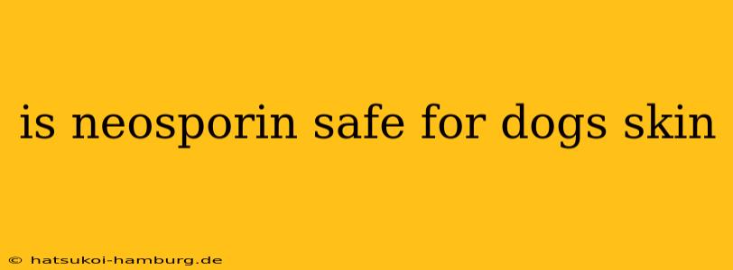 is neosporin safe for dogs skin