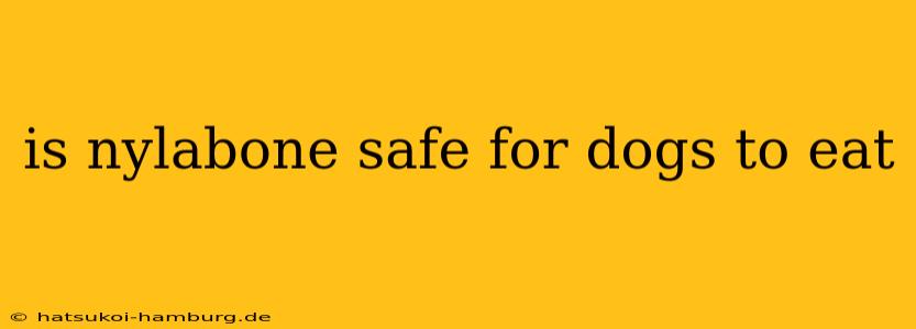 is nylabone safe for dogs to eat