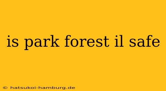 is park forest il safe