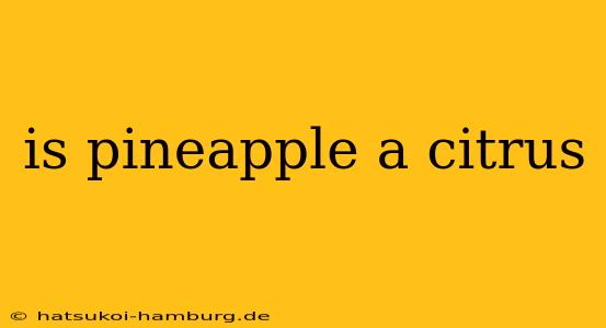 is pineapple a citrus