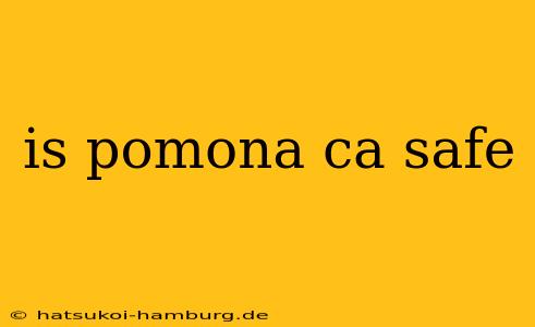 is pomona ca safe