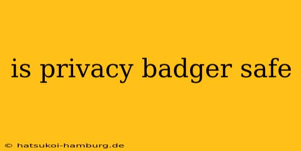 is privacy badger safe