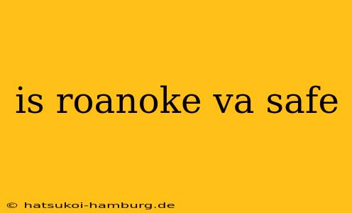 is roanoke va safe