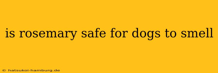 is rosemary safe for dogs to smell