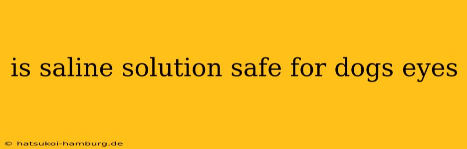 is saline solution safe for dogs eyes
