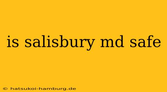 is salisbury md safe