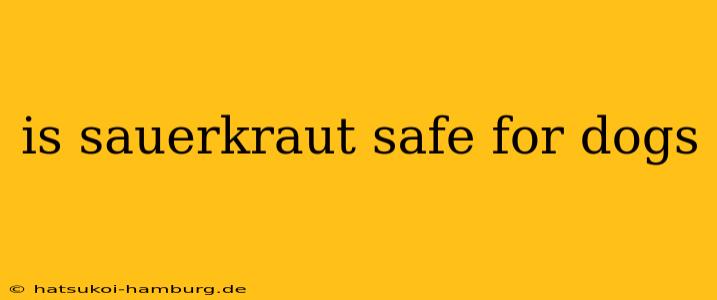 is sauerkraut safe for dogs