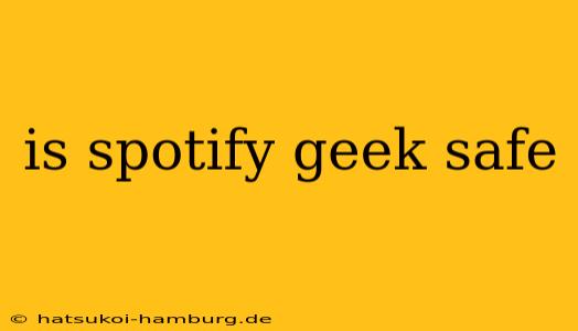 is spotify geek safe