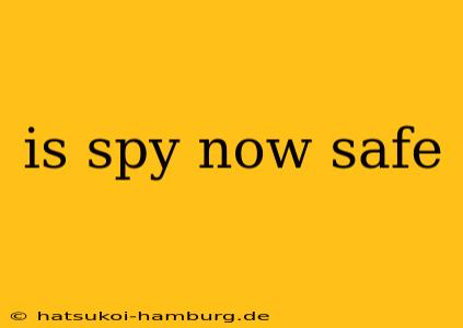is spy now safe