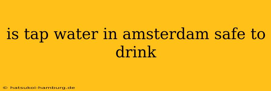 is tap water in amsterdam safe to drink