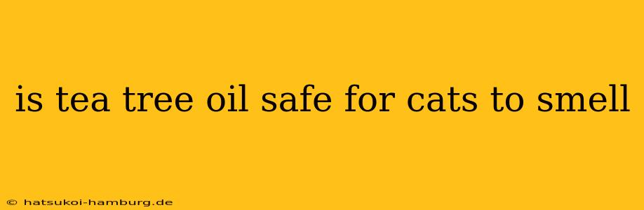 is tea tree oil safe for cats to smell