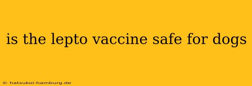 is the lepto vaccine safe for dogs