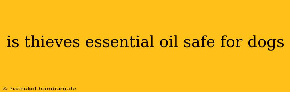 is thieves essential oil safe for dogs