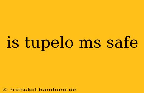 is tupelo ms safe