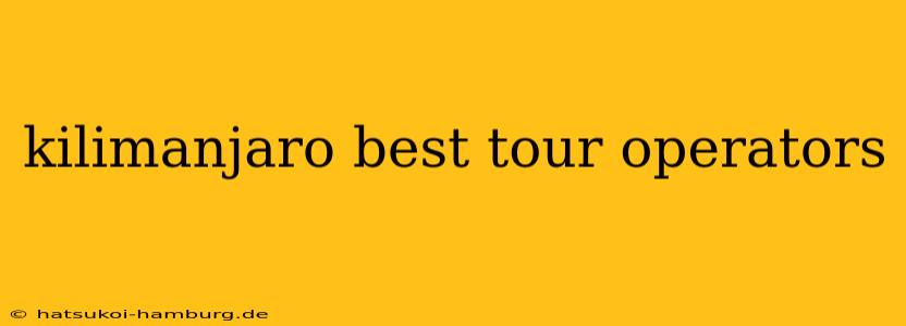 kilimanjaro best tour operators