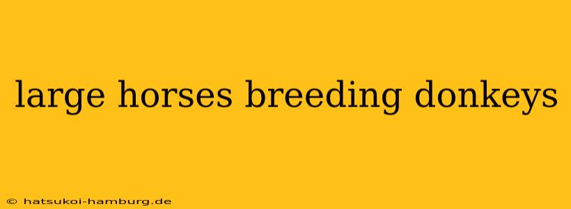 large horses breeding donkeys
